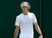 开云体育APP下载-温网逆转戴维斯杯，蒂姆惊艳四座的简单介绍