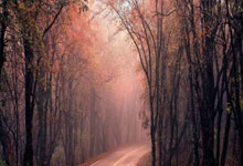 开云下载-关于波兰乒乓球队血洗瑞典乒乓球队，张继科绝境逆转的信息