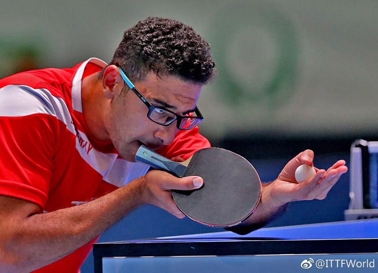 奥地利乒乓球队横扫法国乒乓球队，波尔送出助攻的简单介绍