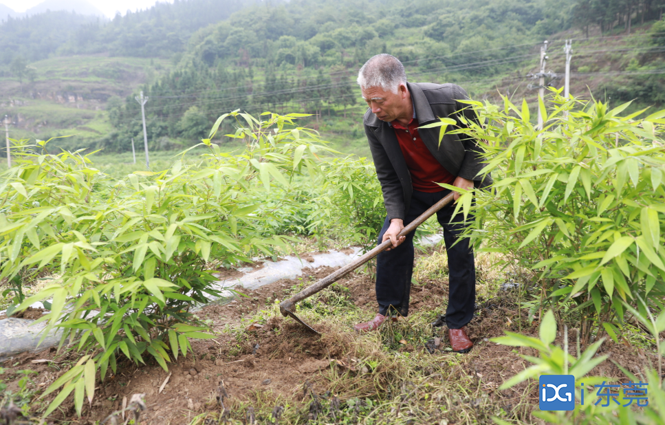 关于山西贵州十个大胆切割，割出一条决胜之路的信息
