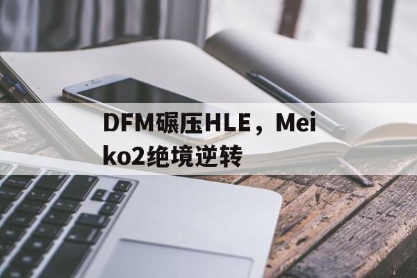 关于DFM碾压HLE，Meiko2绝境逆转的信息